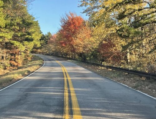 11/8/2023 Fall Foliage Update – Talimena National Scenic Byway